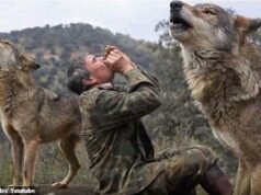 Menino criado por lobos, que passou seus ’12 anos mais lindos’ com uma matilha de lobos, antes de ser enviado para viver como um animal na Espanha rural, morre aos 80 anos