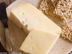 Experimente uma fatia para obter bons ossos… Queijo Jarlsberg