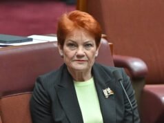 Pauline Hanson está no controle dos danos enquanto o MP da One Nation se rebela no plano de migração responsável por aumentar a popularidade do Partido Conservador.