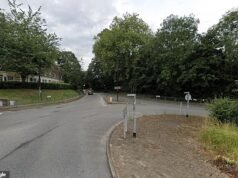 Manhunt começa depois que uma menina de 14 anos é ‘estuprada por um estranho na floresta’ em Southampton