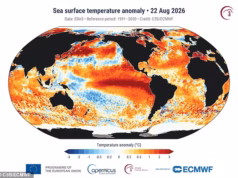 Sinais ameaçadores de que o Super El Niño está aumentando: as temperaturas globais dos oceanos atingiram níveis recordes – e os cientistas dizem que o pior ainda está por vir