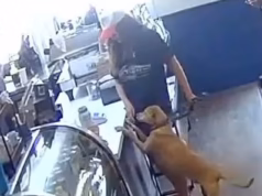 Uma mulher do Oregon ficou furiosa depois que lhe disseram para tirar a pata de seu cachorro do balcão de uma cafeteria… então ela provou seu próprio remédio