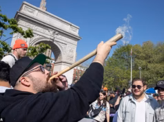 Embora quase metade do país rejeite a droga, a percentagem de americanos que usam maconha está diminuindo