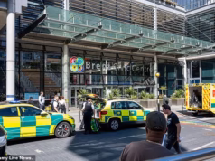 Menino de 15 anos preso sob suspeita de assassinato após esfaquear um jovem de 17 anos do lado de fora do prédio do conselho perto do Estádio de Wembley