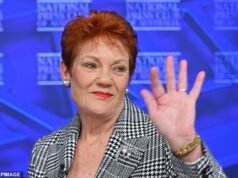 Antony Albanese adia novamente uma grande revisão da migração devido à participação eleitoral em One Nation de Pauline Hanson