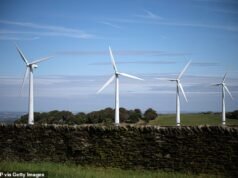 Esta obsessão pela energia verde está tornando a Grã-Bretanha impossível de investir: Jim Johnson
