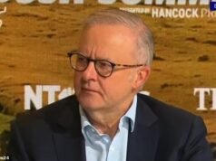 Anthony Albanese ri enquanto a multidão ri de sua difícil questão sobre energias renováveis - antes de abandonar a energia nuclear
