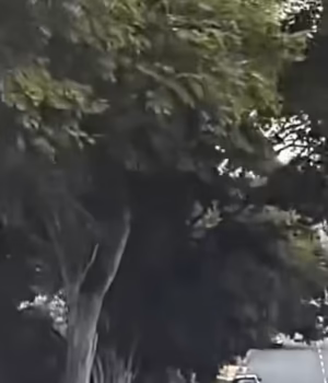 110876505-16083167-Sickening_footage_captured_the_moment_an_e_bike_rider_crashing_i-a-23_17877989632.avif