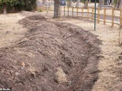 O conselho cavou trincheiras ao redor do parque para impedir que turistas montassem acampamentos ilegais – dias depois de o grupo ter desmaiado em um campo de recreação próximo pela segunda vez em um mês.