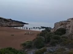 Dezenas de migrantes entusiasmados invadem a praia espanhola depois de serem desembarcados de um ‘táxi’ de lancha