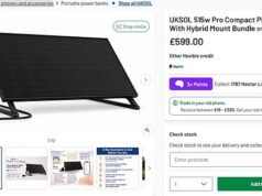 Os novos painéis solares plug-in só estão sendo vendidos on-line por um grande varejista… e não serão entregues até outubro