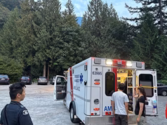 Uma alpinista de 33 anos foi levada ao hospital depois de ser picada por vespas tanto que sofreu uma reação alérgica grave.