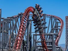 Montanha-russa responsabilizada por danos cerebrais: múltiplas lesões, incluindo incapacidade que mudou a vida, coma e morte, forçaram o Six Flags a encerrar seu passeio X2