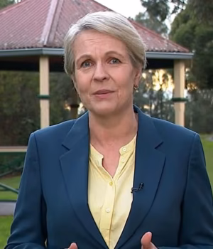 110935161-16090705-Social_Services_Minister_Tanya_Plibersek_said_the_federal_govern-m-17_17880612414.avif