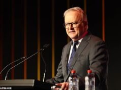 Anthony Albanese criticou a reação à histórica vitória pré-eleitoral de One Nation na Austrália Ocidental