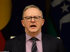A repreensão contundente de Anthony Albanese à histórica vitória eleitoral de One Nation em WA retrata o Partido Trabalhista tomando o caminho certo… A hipocrisia é de tirar o fôlego, por Peter van Onselen
