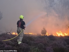 Ian Botham: Para impedir incêndios piores no próximo ano, Burnham precisa enfrentar os ressurgentes agora