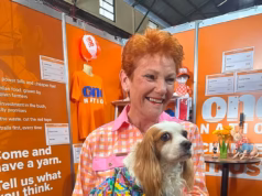 One Nation ultrapassa o Trabalhista como o partido mais popular da Austrália em uma nova pesquisa chocante enquanto Pauline Hanson avança