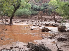 Segundo corpo encontrado no Grand Canyon após enchente histórica, enquanto outros 13 ainda desaparecidos temem estar mortos