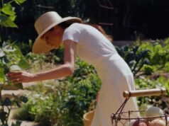 ‘Absorvendo o final do verão’: Meghan e Harry cuidam da horta na nova foto do As Ever dias depois de retornar ao Reino Unido – conforme fontes revelam como eles passaram o último fim de semana nos EUA