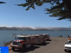 Ambos os amigos são encontrados mortos após fazerem um passeio de canoa para ver a misteriosa luminescência da Bay Area