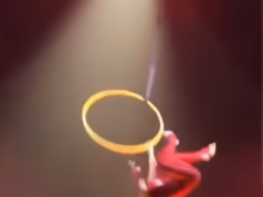 Um acrobata de circo que caiu 4,5 metros diante de uma multidão horrorizada e quebrou uma dúzia de ossos está agora processando o Cirque du Soleil em quase US$ 17 milhões.