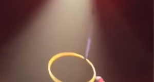 Um acrobata de circo que caiu 4,5 metros diante de uma multidão horrorizada e quebrou uma dúzia de ossos está agora processando o Cirque du Soleil em quase US$ 17 milhões.