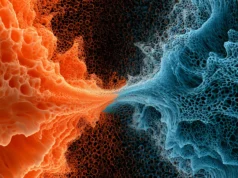 Cientistas encontram “rodovias” escondidas que guiam a evolução animal