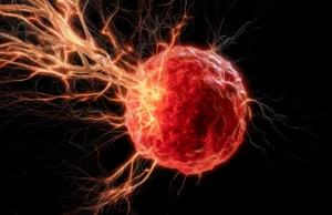 Cientistas descobrem rede neural oculta que promove câncer de mama
