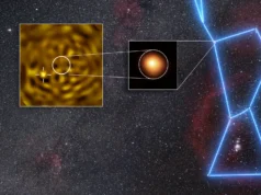“Eu pulei da cadeira” – astrônomos avistam a companheira escondida de Betelgeuse
