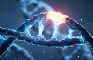 Um “botão liga” escondido no DNA humano foi finalmente decodificado