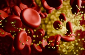 Um tratamento CRISPR reduz o colesterol “ruim” pela metade durante um ano inteiro