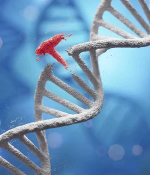 dna-break-replace-assemble-genetic-engineering.webp