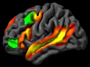 Neurocientistas do MIT descobrem que o cérebro pode raciocinar sem palavras