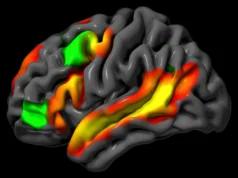 Neurocientistas do MIT descobrem que o cérebro pode raciocinar sem palavras