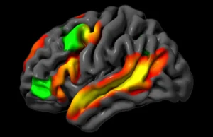 Neurocientistas do MIT descobrem que o cérebro pode raciocinar sem palavras