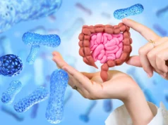 Cientistas transformam bactérias probióticas em pequenas fábricas de medicamentos para câncer de pâncreas