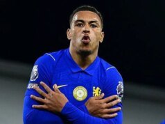 Rodgers e Palmer estrelam, mas Sanchez tem dificuldades – avaliações dos jogadores do Fulham x Chelsea