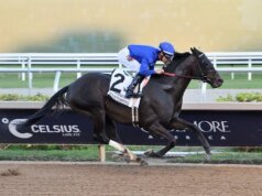 O Pacific Classic oferece uma vaga na Breeders’ Cup e uma bolsa de US$ 1 milhão