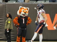 Pré-temporada Bears vs Bengals: como assistir, horário de início, probabilidades e muito mais
