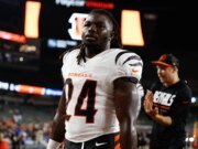 Os Bengals têm alguns problemas muito bons para resolver antes das finais