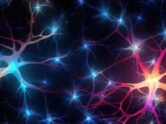 Cientistas descobrem uma mudança cerebral oculta que começa por volta dos 50 anos