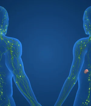 immune-lymphatic-system-in-male-and-female-anatomy.webp