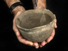 Arqueólogos descobrem misteriosa cerâmica indígena de 400 anos na Flórida