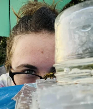 laura-mchenry-observes-bees.webp
