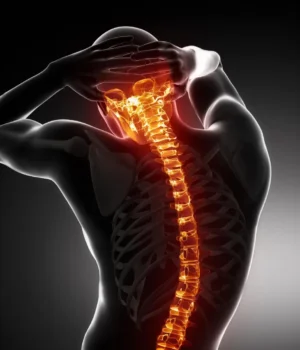 male-anatomy-spinal-column-backbone.webp