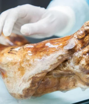 otzi-iceman-mummy.webp