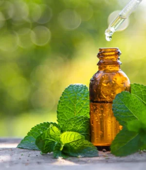 peppermint-essential-oil-bottle.webp