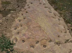 Pegadas de dinossauros de 150 milhões de anos revelam algo estranho em seu andar