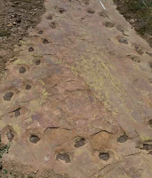 west-gold-hill-dinosaur-tracksite.webp